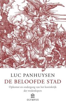 De beloofde stad - Boek Luc Panhuysen (9046701883)