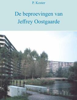 De beproevingen van Jeffrey Oostgaarde -   (ISBN: 9789081170512)