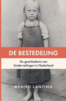 De bestedeling - Menno Lanting - ebook