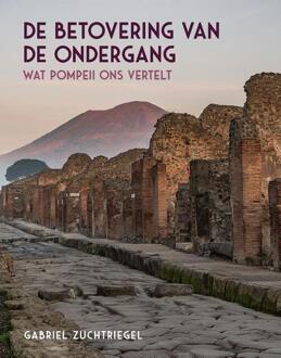 De betovering van de ondergang -  Gabriel Zuchtriegel (ISBN: 9789464711073)