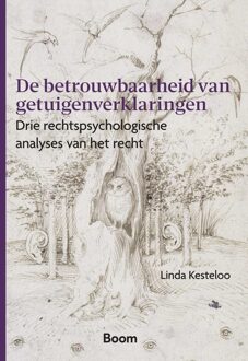 De betrouwbaarheid van getuigenverklaringen - Linda Kesteloo - ebook