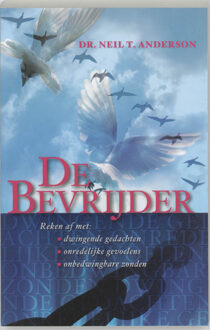De bevrijder - Boek N.T. Anderson (9060676394)