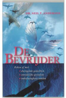De bevrijder - Boek N.T. Anderson (9060676394)