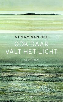 De Bezige Bij Amsterdam Ook daar valt het licht - eBook Hee van Mirjam (902348178X)