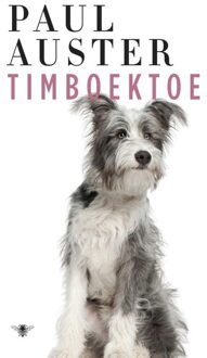 De Bezige Bij Amsterdam Timboektoe - eBook Paul Auster (9023486277)