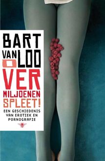De Bezige Bij O vermiljoenen spleet - eBook Bart van Loo (9460420540)