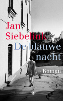 De blauwe nacht - Boek Jan Siebelink (9023485017)