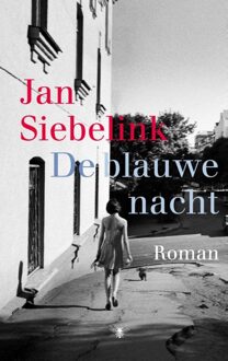 De blauwe nacht - eBook Jan Siebelink (9023485815)