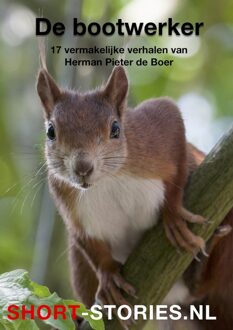 De bootwerker - Herman Pieter de Boer - ebook