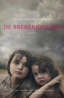 De brekerjongens - eBook Ellen Marie Wiseman (9029726830)