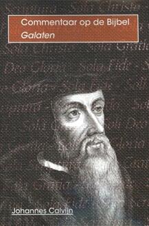 De brief van Paulus aan de / Galaten - Boek Johannes Calvijn (9057191075)