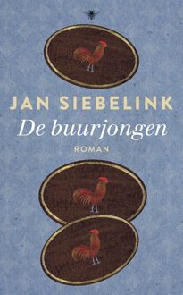 De buurjongen - eBook Jan Siebelink (9023469100)