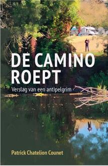 De Camino roept -  Patrick Chatelion Counet (ISBN: 9789493395145)