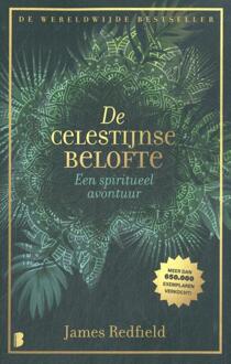 De Celestijnse belofte -  James Redfield (ISBN: 9789049203160)
