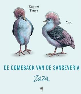De Comeback Van De Sanseveria / 1
