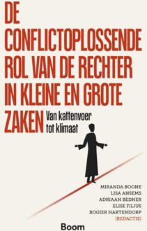 De conflictoplossende rol van de rechter in kleine en grote zaken - - ebook