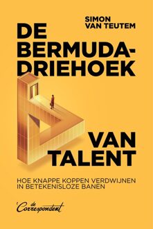 De Correspondent De bermudadriehoek van talent - Simon van Teutem - ebook
