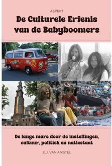 De Culturele Erfenis Van De Babyboomers - E.J. van Amstel