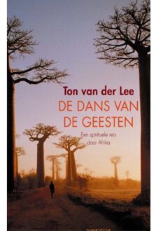 De dans van de geesten - Boek Ton van der Lee (9085482631)