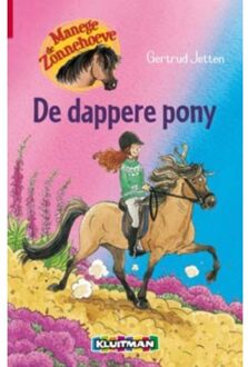 De dappere pony - Boek Gertrud Jetten (9020662880)