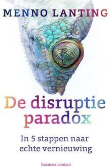 De disruptieparadox - Boek Menno Lanting (904701037X)