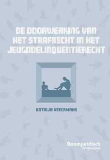 De doorwerking van het strafrecht in het jeugddelinquentierecht - Katrijn Veeckmans - ebook