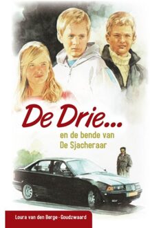 De Drie en de bende van de Sjacheraar