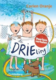 De drieling - Boek Corien Oranje (9085433274)