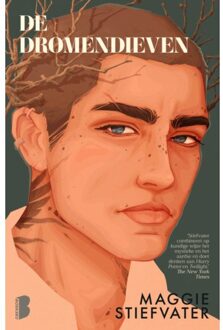 De Dromendieven - Raven - Maggie Stiefvater