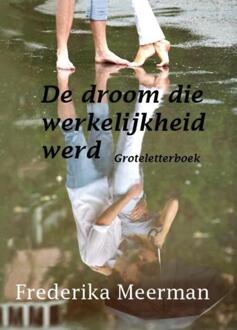 De droom die werkelijkheid werd - Boek Frederika Meerman (9462600392)