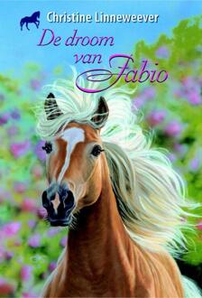 De droom van Fabio - Boek Christine Linneweever (9020622250)