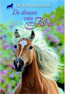 De droom van Fabio - Boek Christine Linneweever (9020622250)