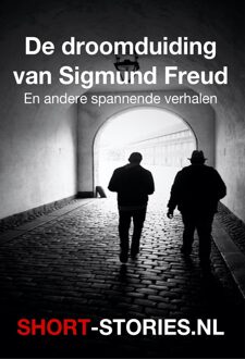 De droomaanduiding van Sigmund Freud -  Daniel Stern (ISBN: 9789464937237)
