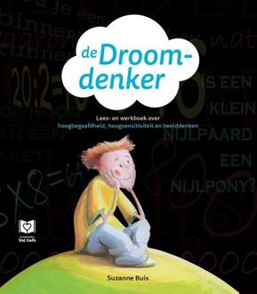 De Droomdenker - Boek Suzanne Buis (9082661918)