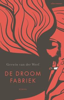 De Droomfabriek - Gerwin van der Werf