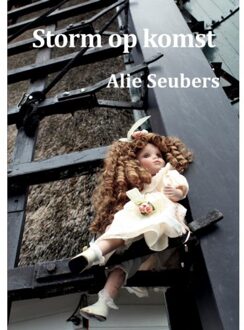 De Droomvallei Storm Op Komst - Alie Seubers