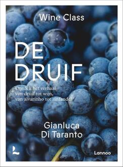 De Druif - Wine Class - Gianluca Di Taranto