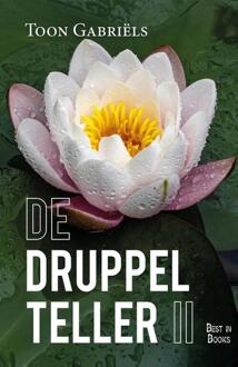 De Druppelteller -  Toon Gabriëls (ISBN: 9789493402560)