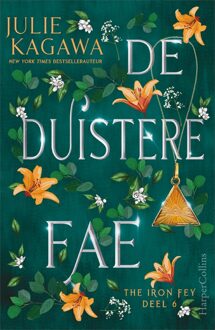 De duistere fae - eBook Julie Kagawa (940275041X)