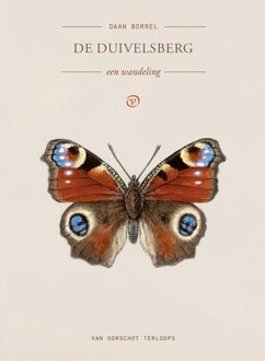De Duivelsberg - Daan Borrel - ebook