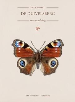De Duivelsberg -  Daan Borrel (ISBN: 9789028252103)