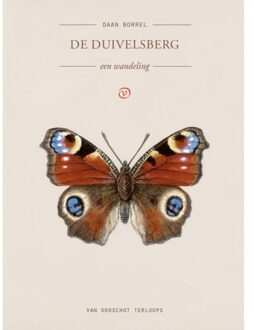 De Duivelsberg - Terloops - Daan Borrel