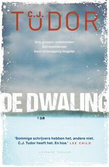 De dwaling - C.J. Tudor - ebook