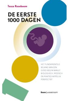 De Eerste 1000 Dagen - Tessa Roseboom