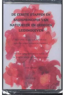 De eerste stappen en basisprincipes van natuurlijk en gedegen leidinggeven - Boek J. Verheijen (9059740262)