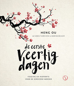 De eerste veertig dagen - (ISBN:9789492995490)