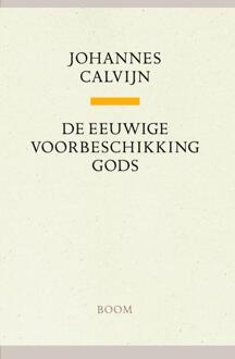 De eeuwige voorbeschikking Gods - Boek Johannes Calvijn (9085067995)