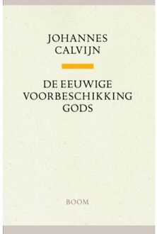 De eeuwige voorbeschikking Gods - Boek Johannes Calvijn (9085067995)