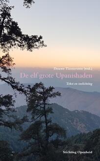 De elf grote Upanisaden -  Douwe Tiemersma (ISBN: 9789077194164)