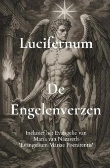 De Engelenverzen -  Rubèn Cottenjé (ISBN: 9789465313528)